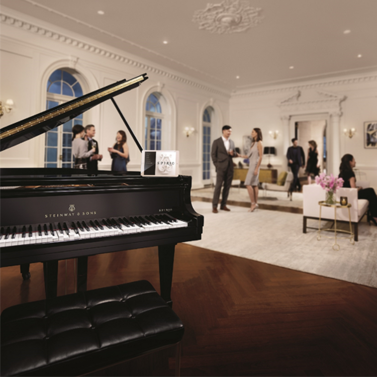 STEINWAY SPIRIO O 180