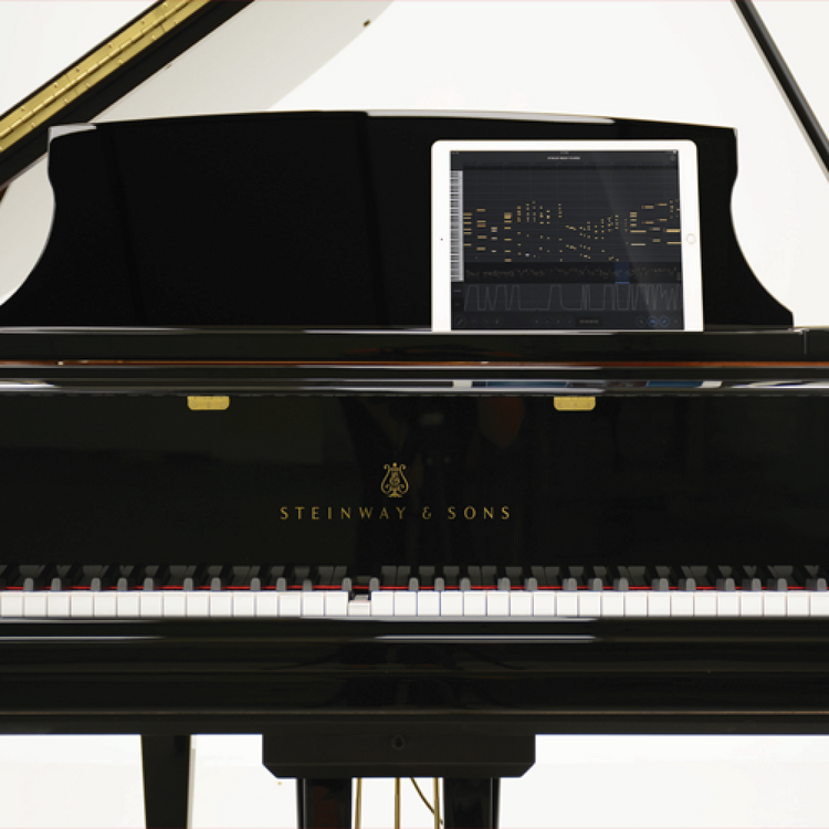 STEINWAY SPIRIO R B 211
